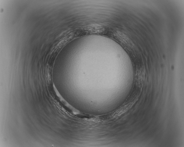 X0000085221058200703231527