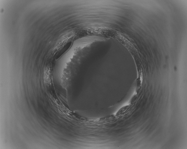 X0000085221060200703231527