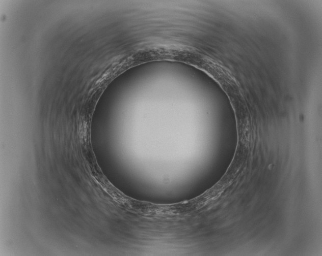 X0000085221061200703231527