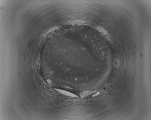X0000085221063200703231527