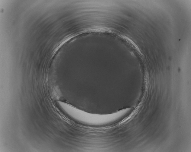 X0000085221065200703231527