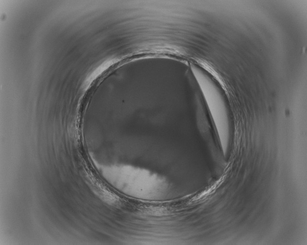 X0000085221071200703231527