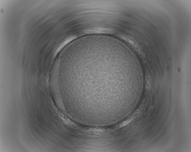 X0000085221073200703231526