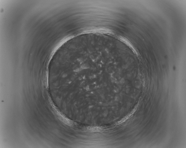 X0000085221079200703231526