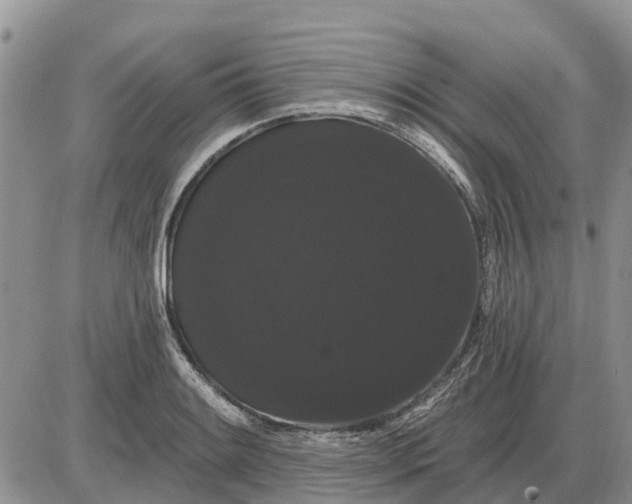 X0000085221084200703231526