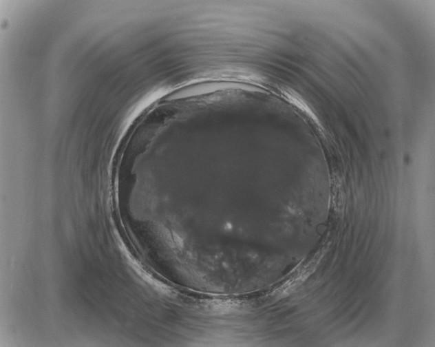 X0000085221087200703231526