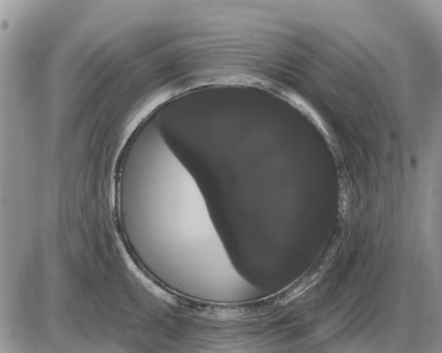 X0000085221095200703231526