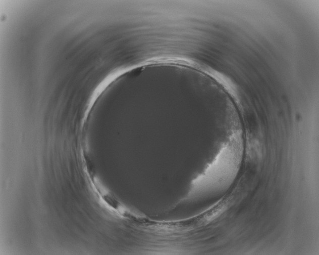 X0000085221102200703231526
