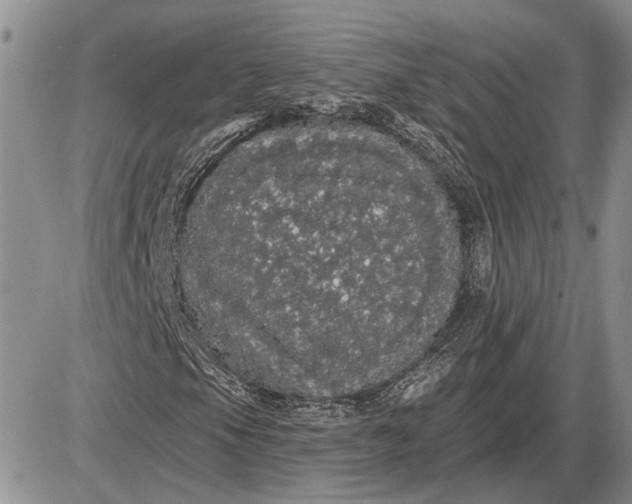 X0000085221105200703231525
