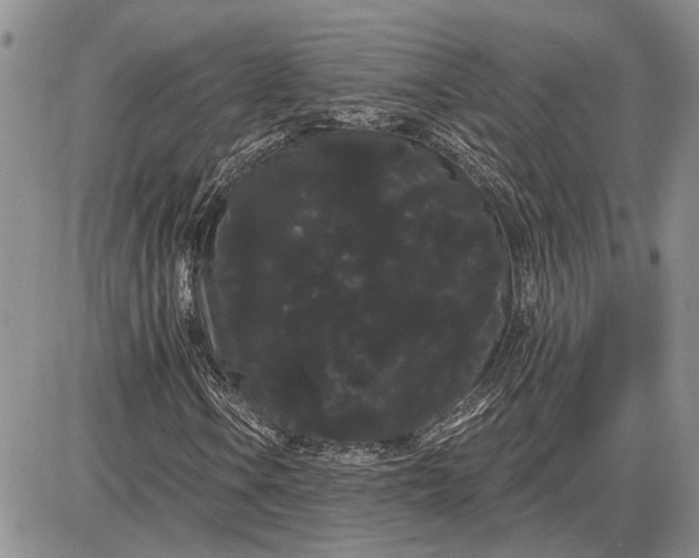 X0000085221106200703231525