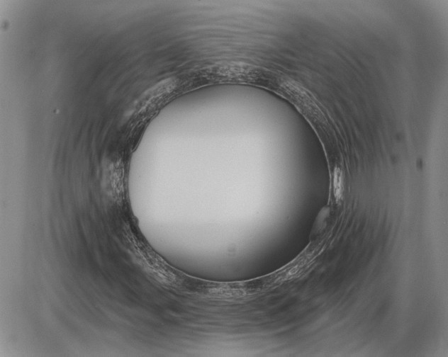 X0000085221107200703231525