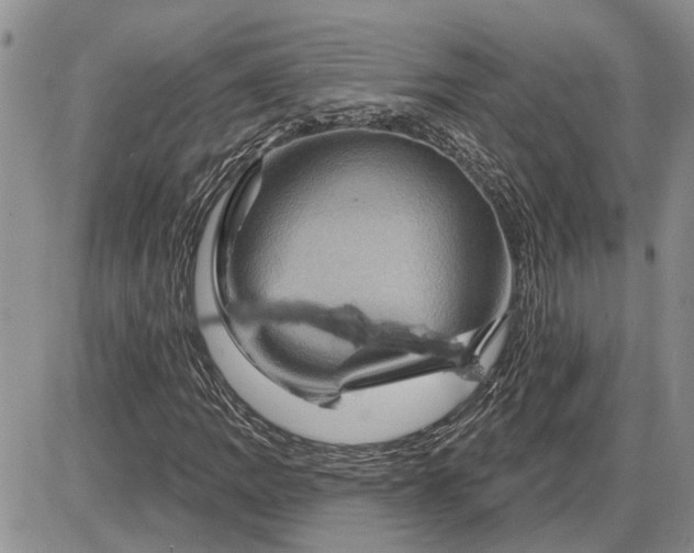 X0000085221109200703231525