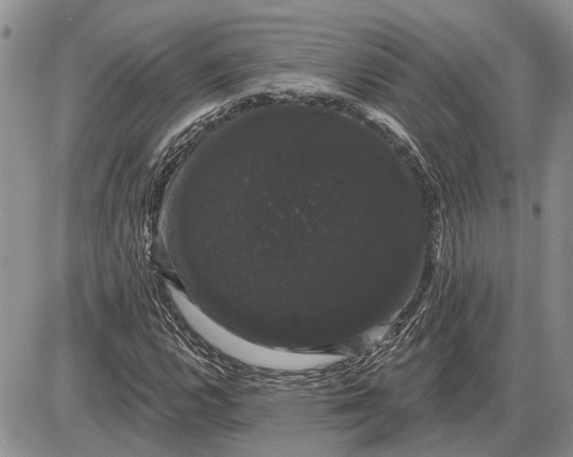 X0000085221112200703231525