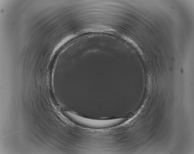 X0000085221114200703231525
