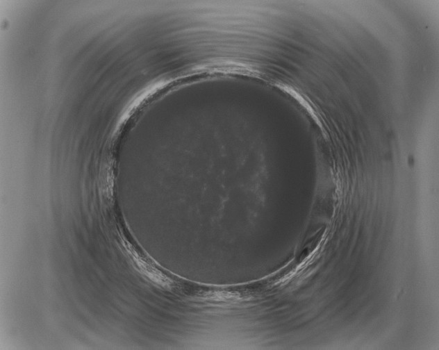 X0000085221115200703231525
