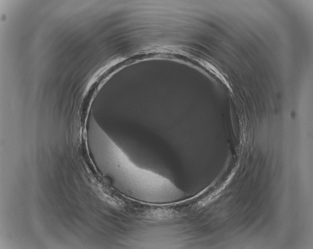 X0000085221117200703231525