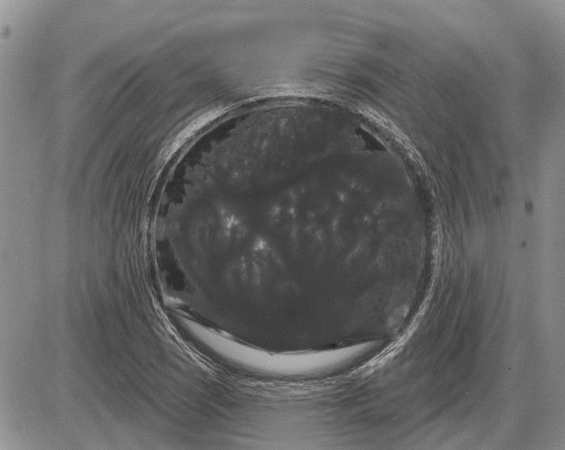 X0000085221121200703231525
