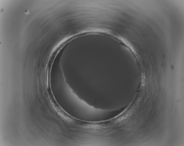 X0000085221127200703231526