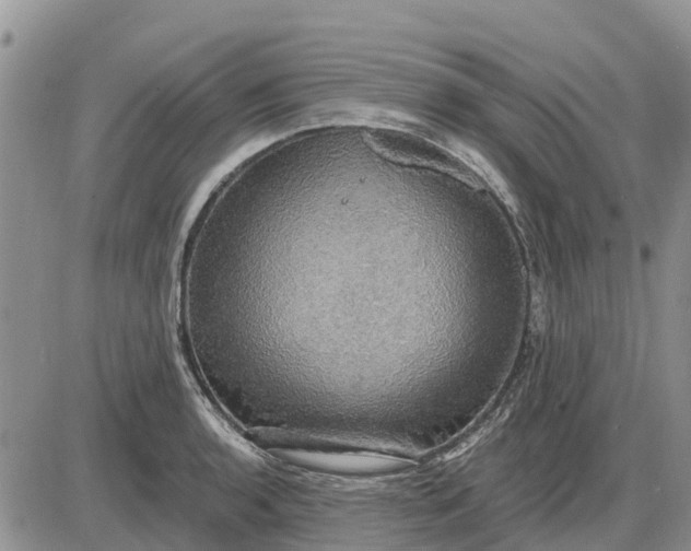 X0000085221136200703231526