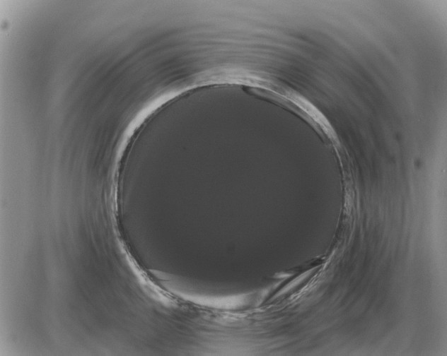 X0000085221144200703231526