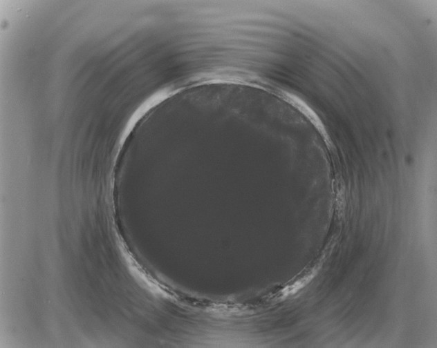 X0000085221146200703231526
