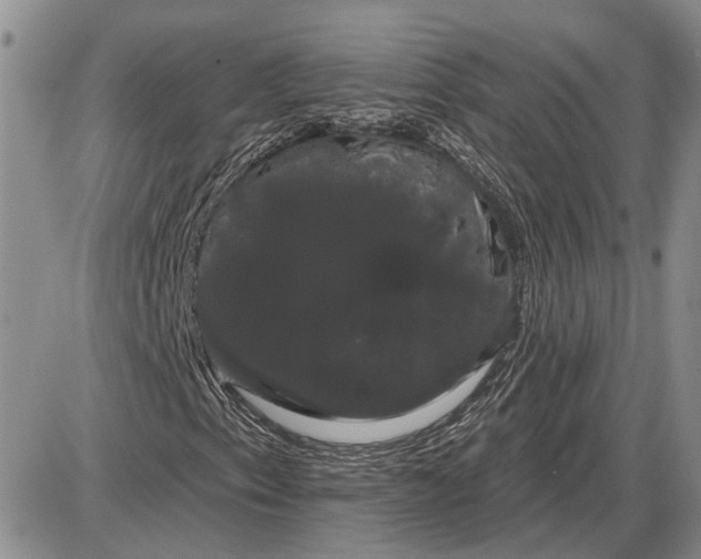X0000085221153200703231525
