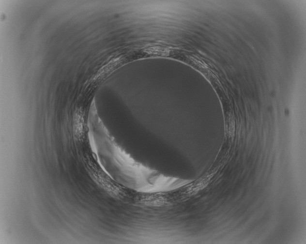X0000085221154200703231525