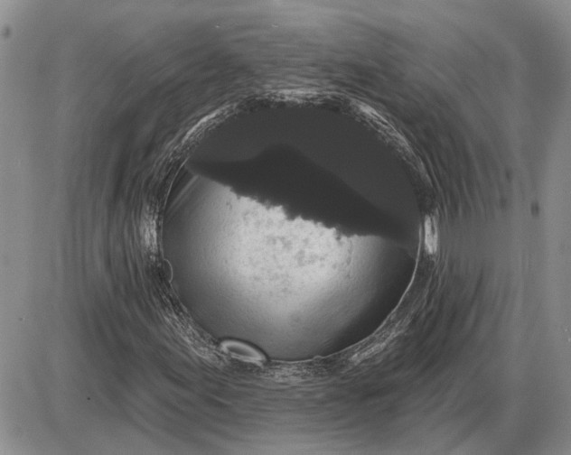 X0000085221155200703231525
