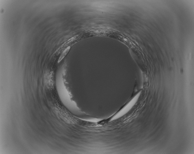 X0000085221156200703231525