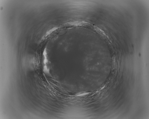 X0000085221158200703231525