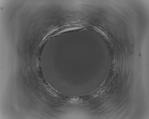 X0000085221160200703231525