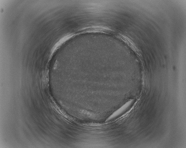 X0000085221164200703231525