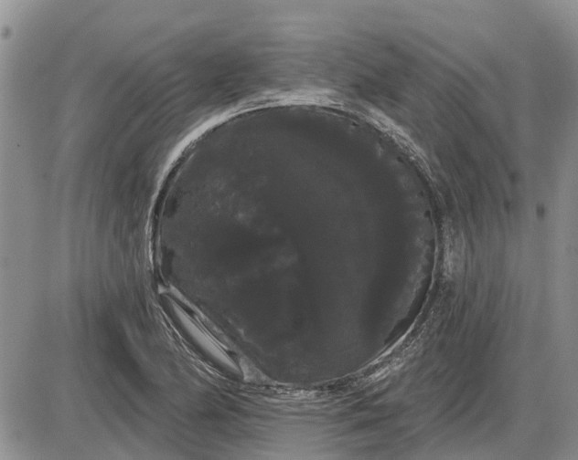 X0000085221174200703231525