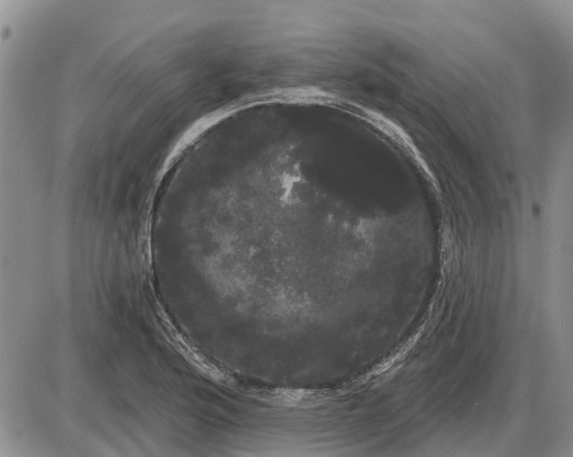 X0000085221176200703231525