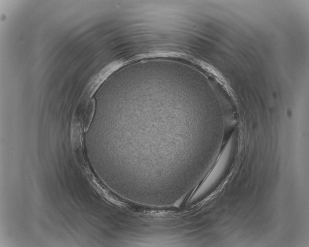 X0000085221177200703231525