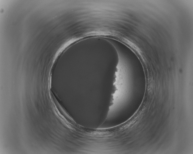 X0000085221179200703231525
