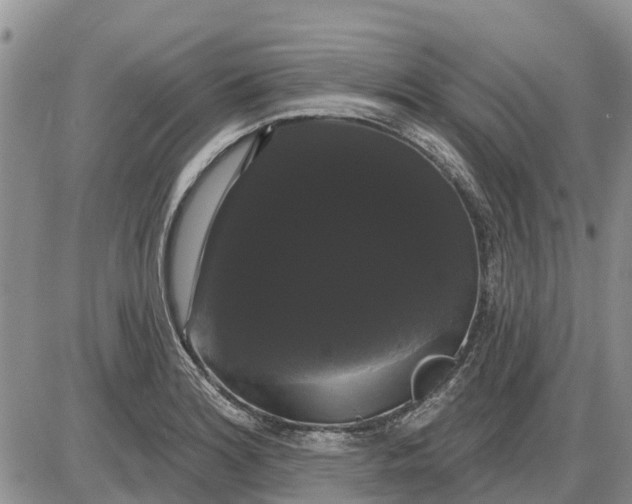 X0000085221180200703231525