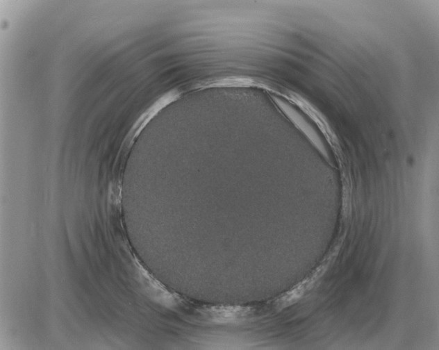 X0000085221193200703231524