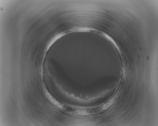 X0000085221194200703231524