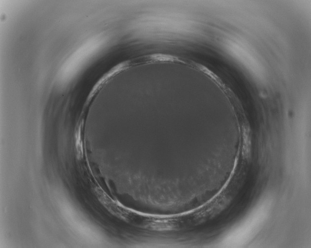 X0000085221198200703231524