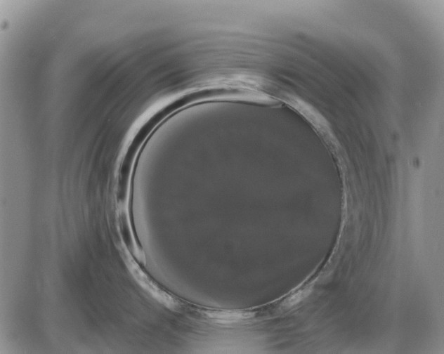 X0000085221200200703231524
