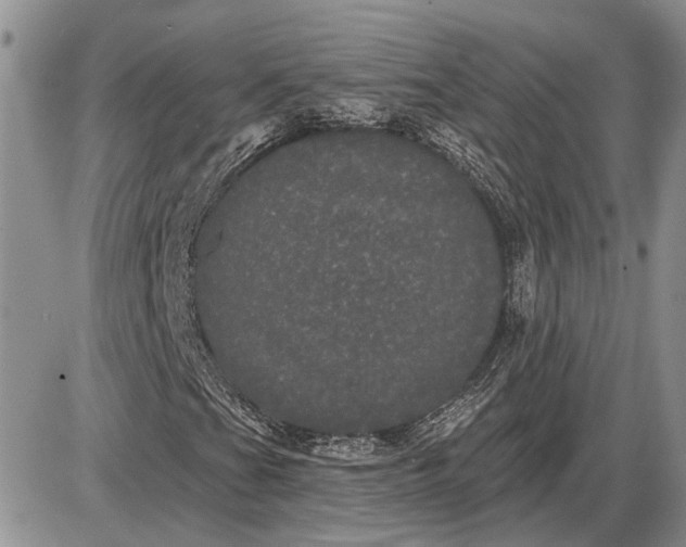 X0000085221201200703231524