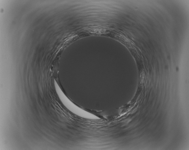 X0000085221202200703231524