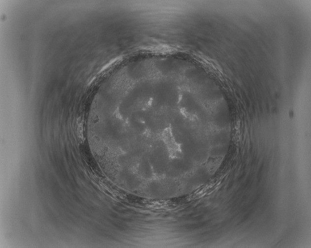 X0000085221205200703231524