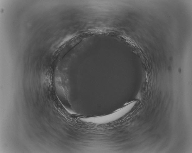 X0000085221206200703231524