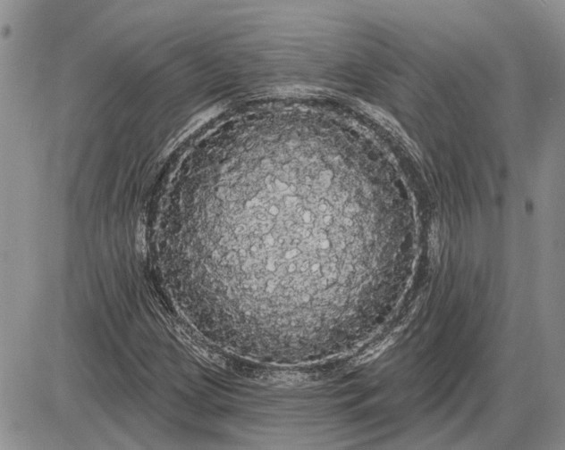 X0000085221209200703231524