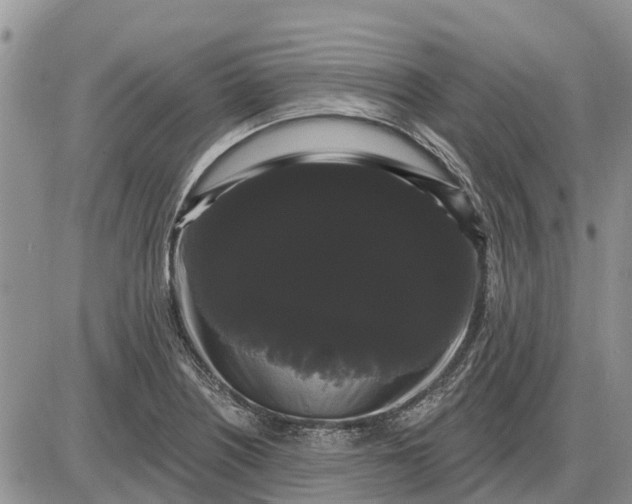 X0000085221226200703231524