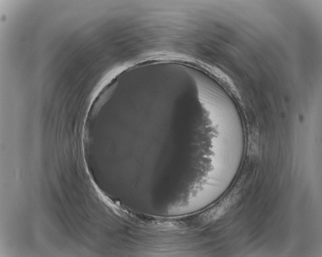 X0000085221231200703231524