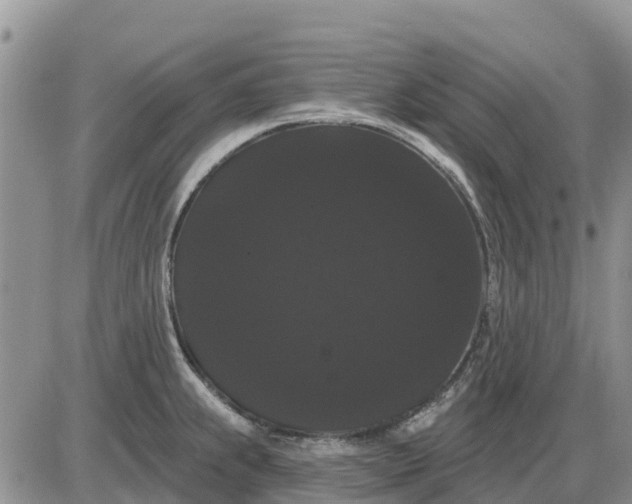 X0000085221239200703231524