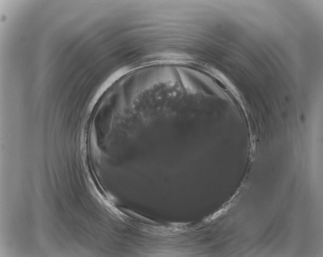 X0000085221243200703231524